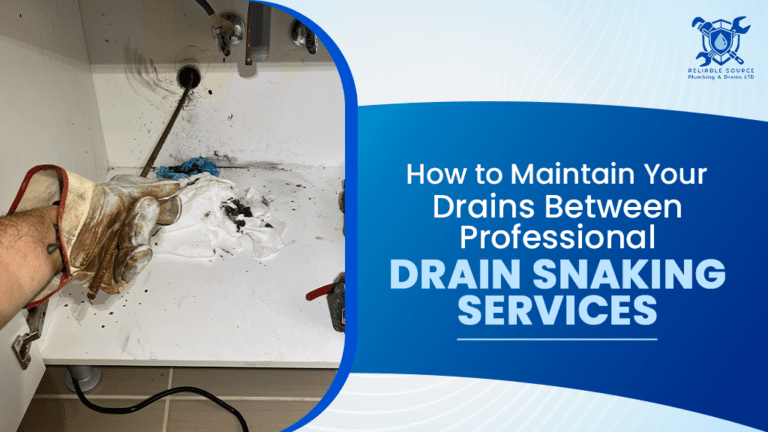 Maintain Your Drains Between Drain Snaking Services