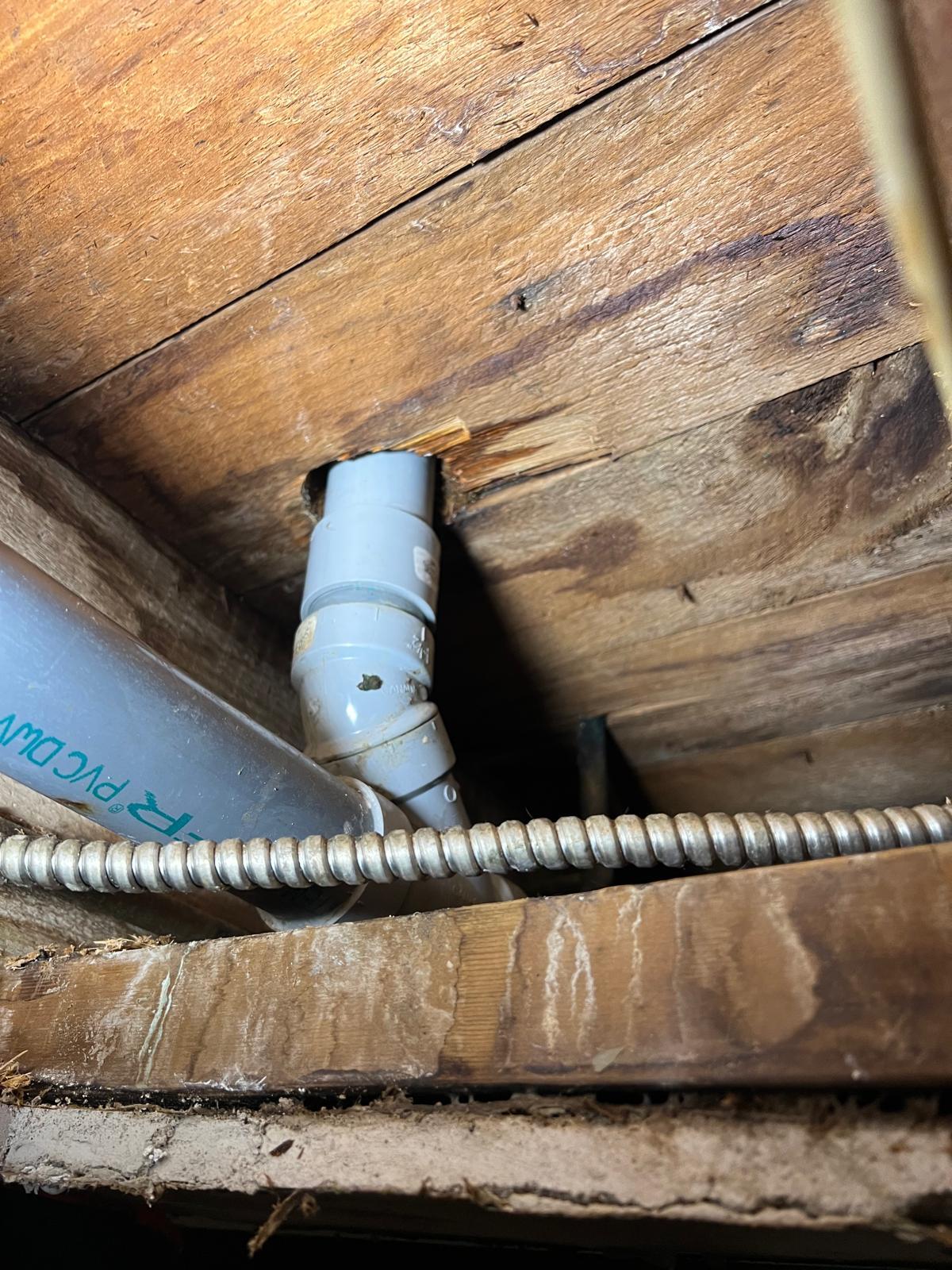 Drain Repair-Reliable Source Plumbing & Drains Ltd (3)